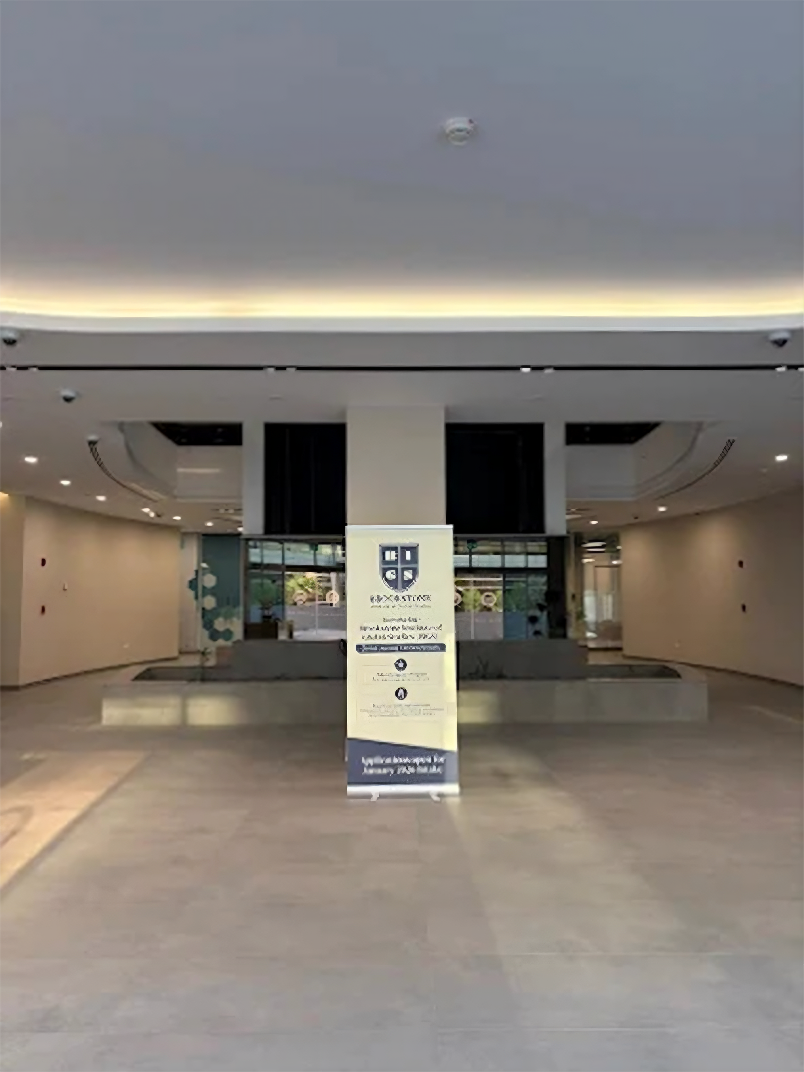 BIGS Dubai global immersion program